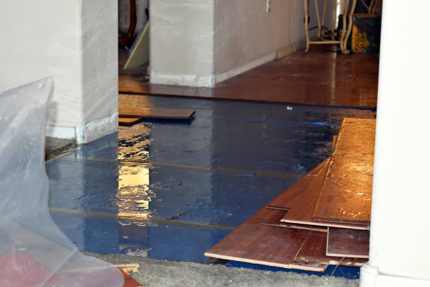 Professional Basement Flooding technician working in Downing, WI